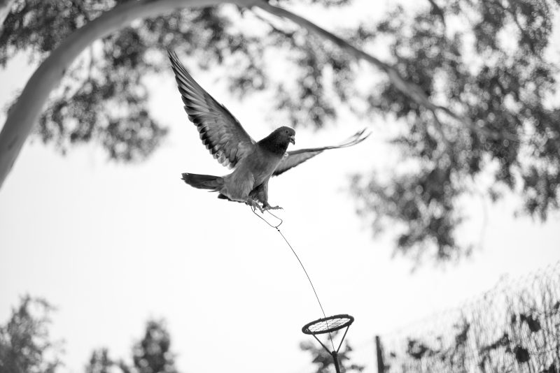 Fotografía de Alfonso Santos Alcalá — L1005121