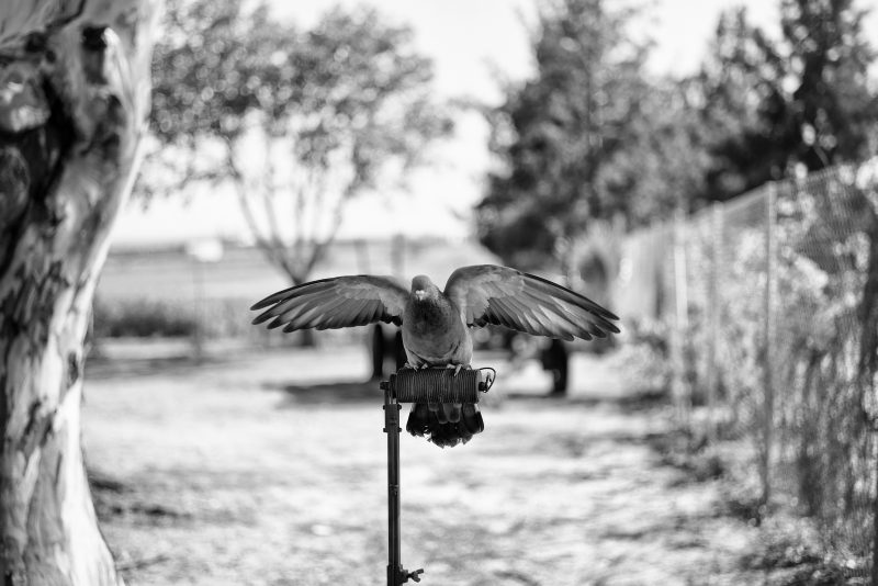Fotografía de Alfonso Santos Alcalá — L1005241