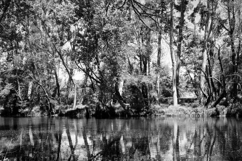 Fotografía de Alfonso Santos Alcalá — L1005394