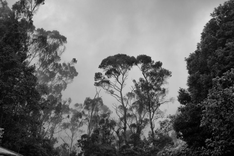 Fotografía de Alfonso Santos Alcalá — L1005806 copia
