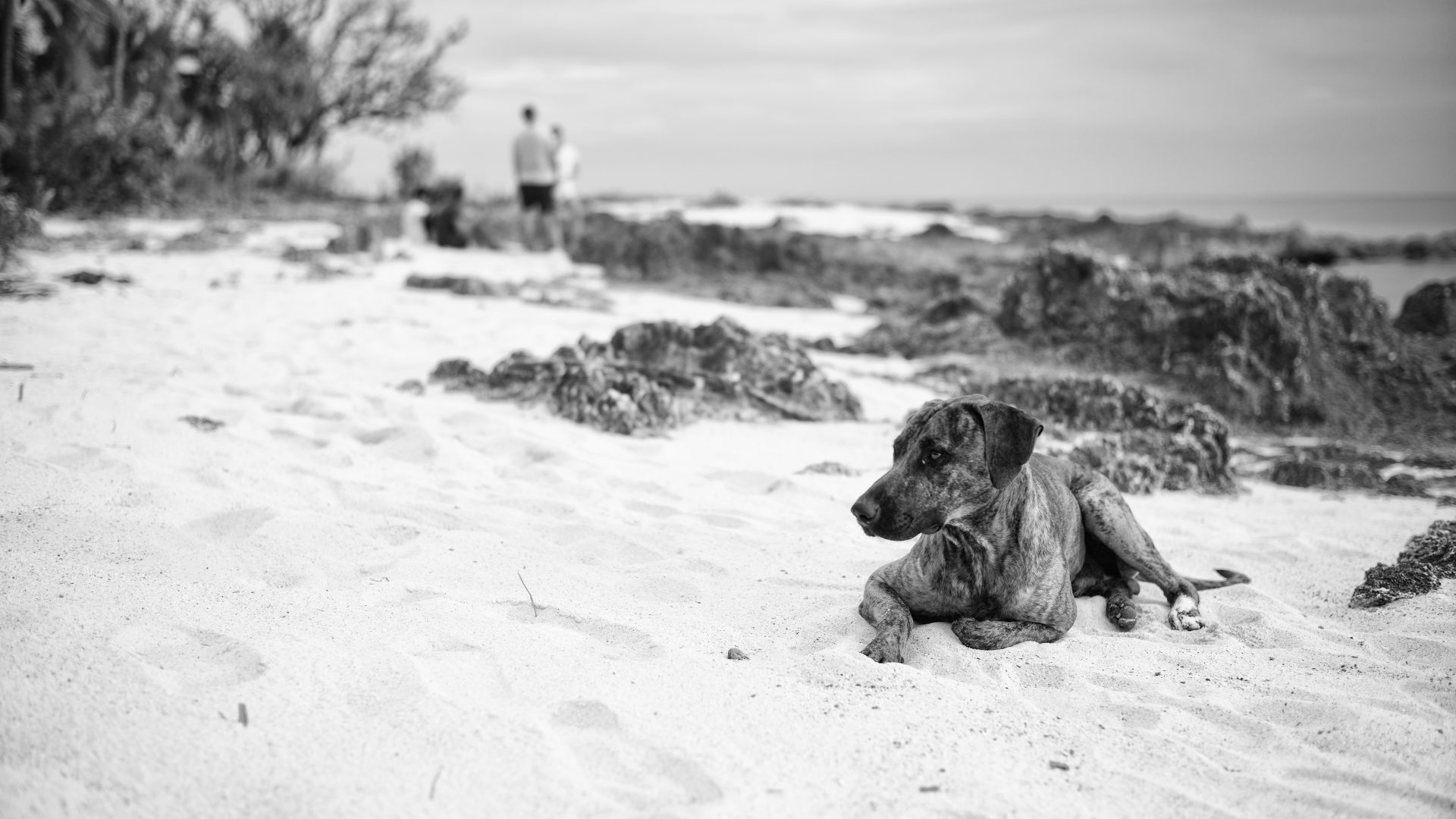 Fotografía de Alfonso Santos Alcalá — L1005988 copia