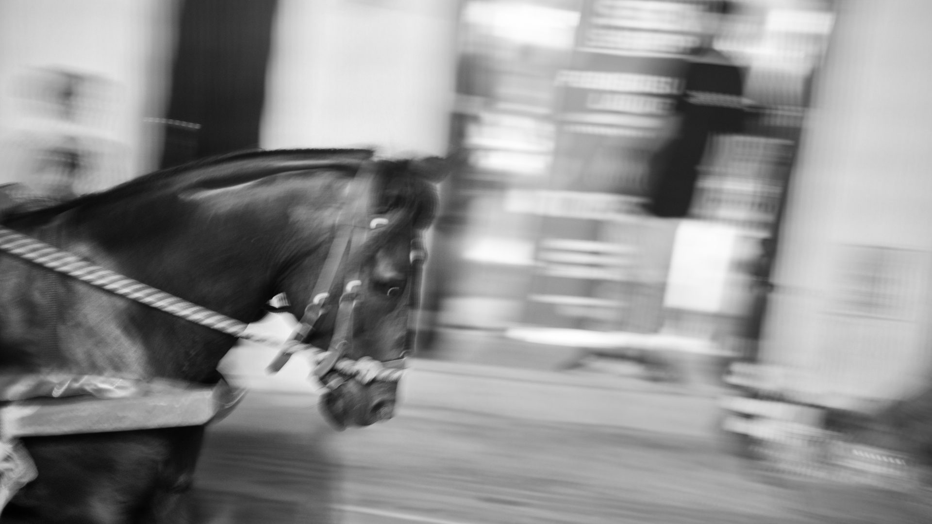Fotografía de Alfonso Santos Alcalá — L1006039 copia