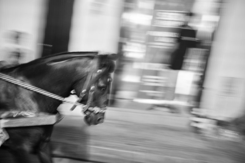 Fotografía de Alfonso Santos Alcalá — L1006039 copia