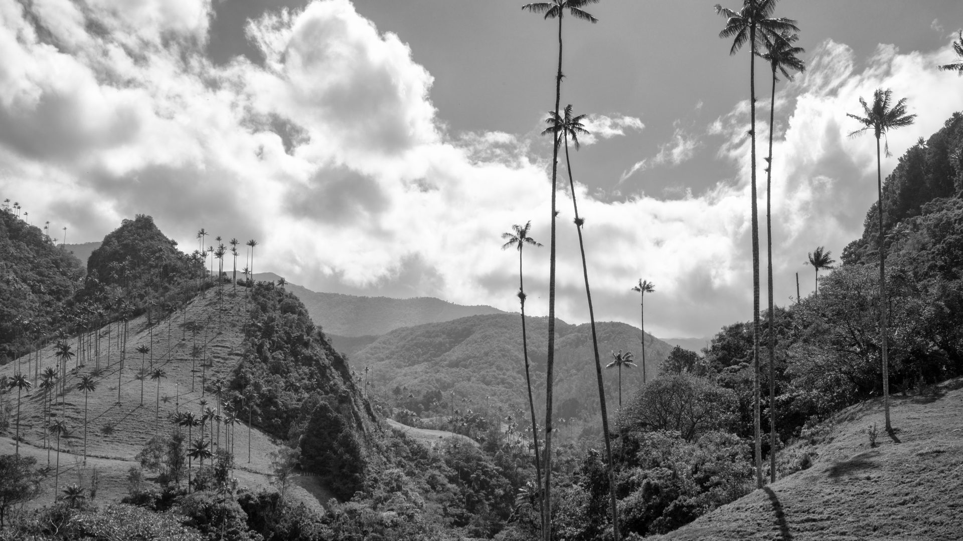 Fotografía de Alfonso Santos Alcalá — L1006313 copia