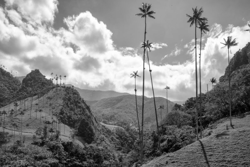 Fotografía de Alfonso Santos Alcalá — L1006313 copia