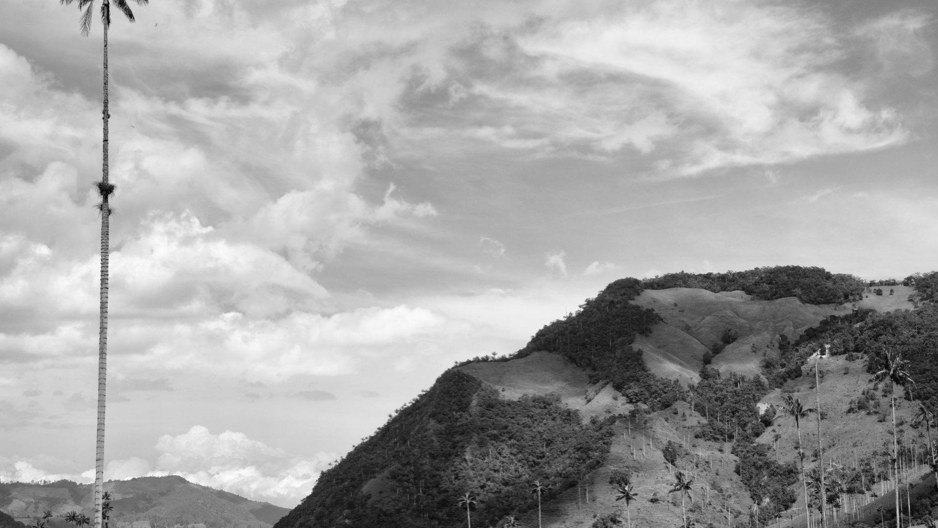 Fotografía de Alfonso Santos Alcalá — L1006318 copia