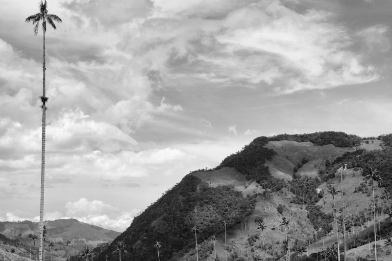 Fotografía de Alfonso Santos Alcalá — L1006318 copia