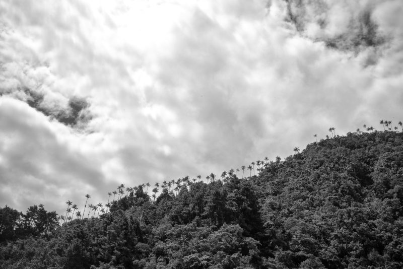 Fotografía de Alfonso Santos Alcalá — L1006402 copia