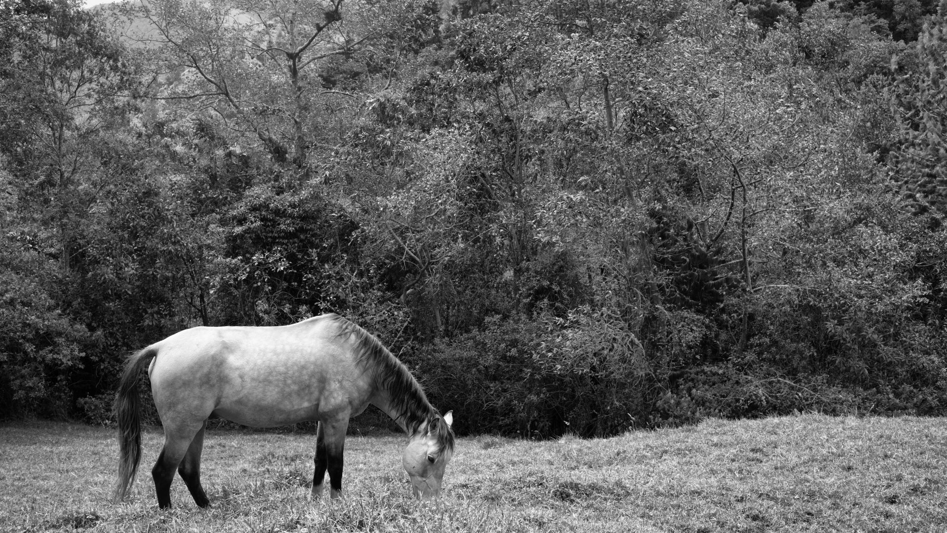Fotografía de Alfonso Santos Alcalá — L1006405 copia
