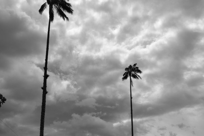 Fotografía de Alfonso Santos Alcalá — L1006416 copia
