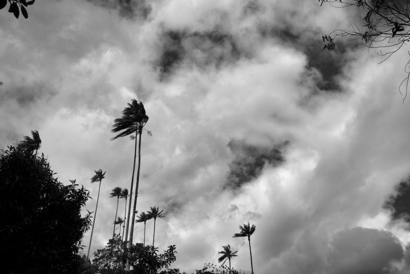 Fotografía de Alfonso Santos Alcalá — L1006417 copia