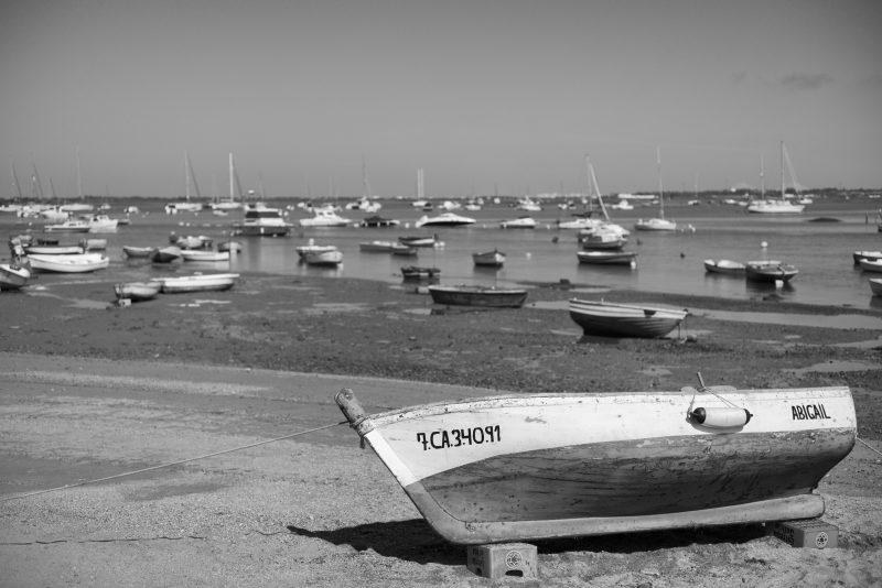 Fotografía de Alfonso Santos Alcalá — L1006684 copia