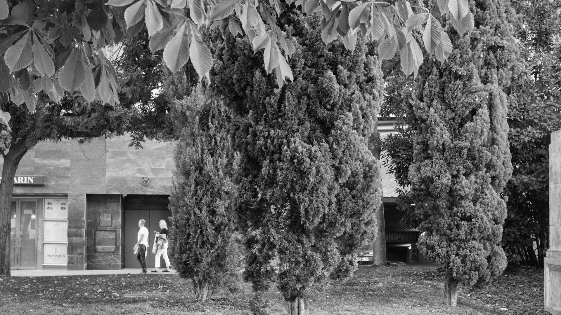 Fotografía de Alfonso Santos Alcalá — L1006787 copia
