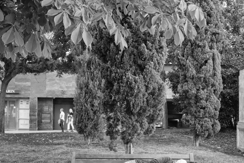 Fotografía de Alfonso Santos Alcalá — L1006787 copia