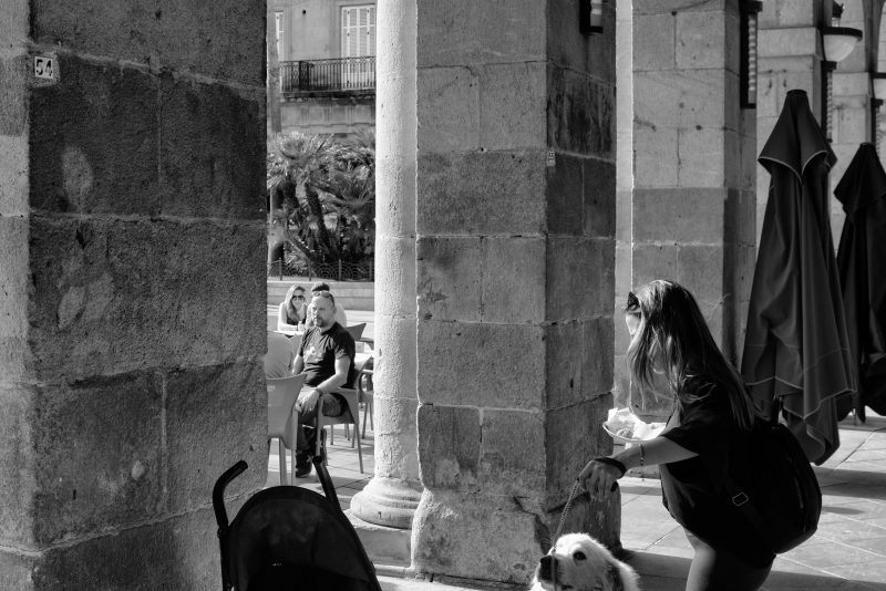 Fotografía de Alfonso Santos Alcalá — L1006904 copia