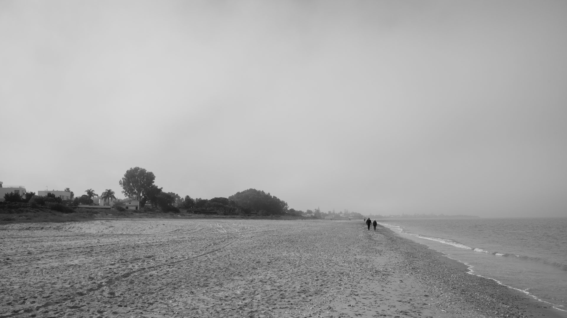 Fotografía de Alfonso Santos Alcalá — L1007033 copia