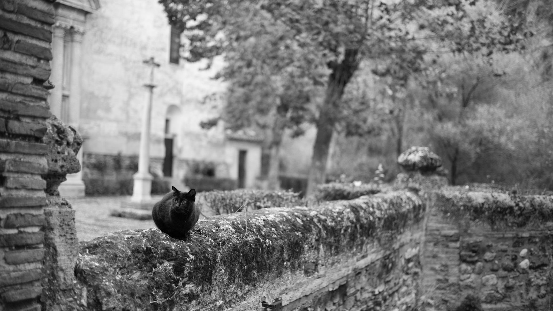 Fotografía de Alfonso Santos Alcalá — L1007241 copia