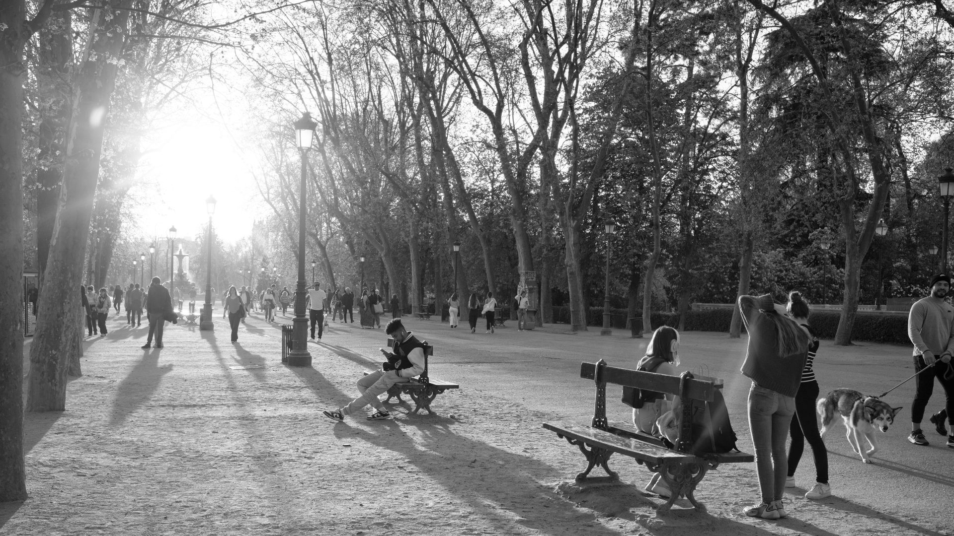 Fotografía de Alfonso Santos Alcalá — L1008067 copia
