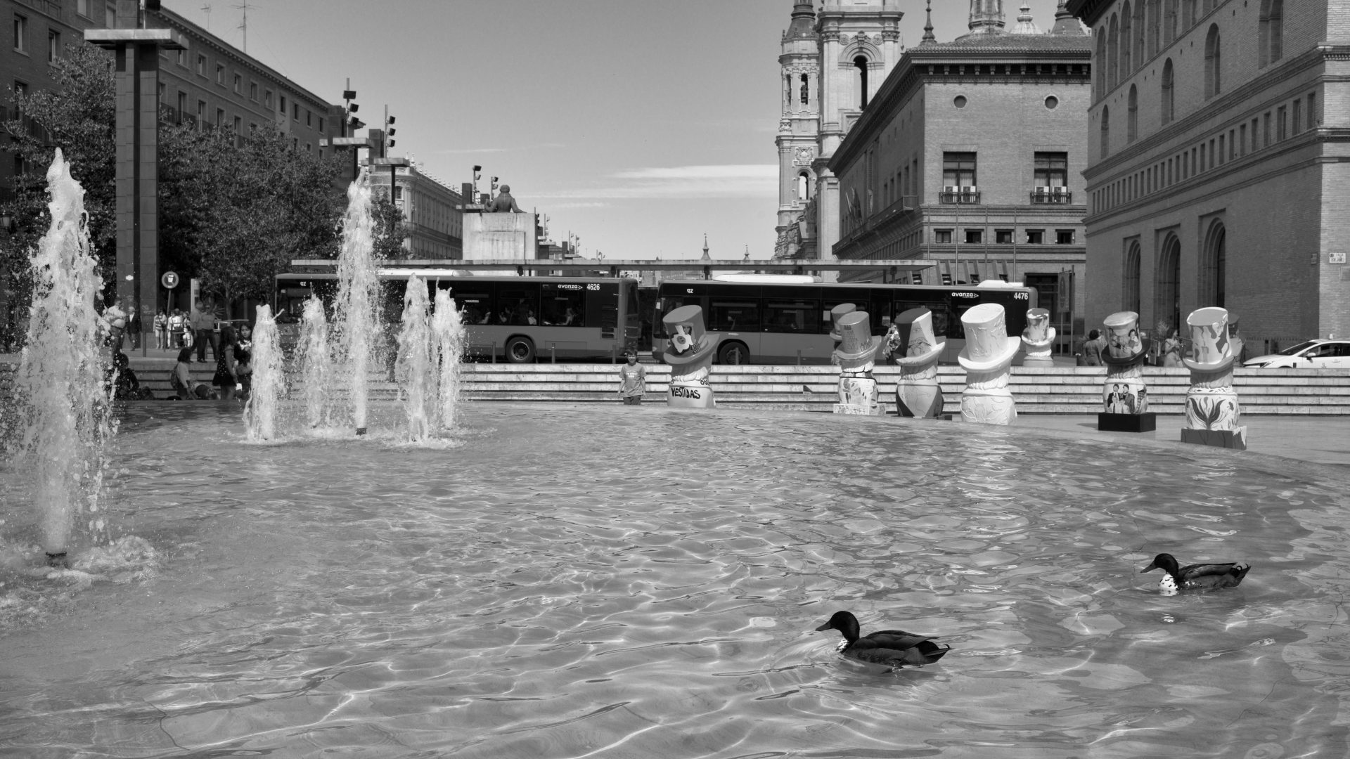 Fotografía de Alfonso Santos Alcalá — L1008686 copia