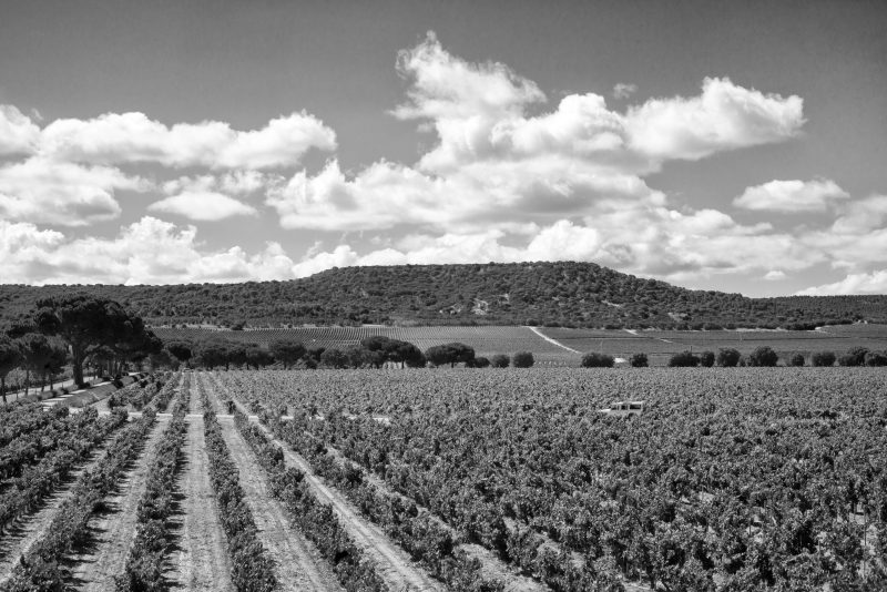 Fotografía de Alfonso Santos Alcalá — L1008894 copia