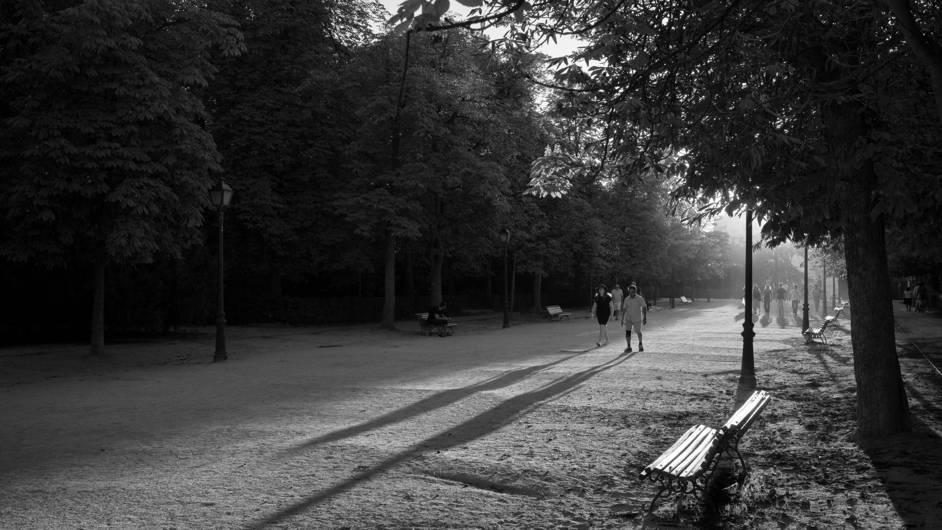 Fotografía de Alfonso Santos Alcalá — L1039976 copia